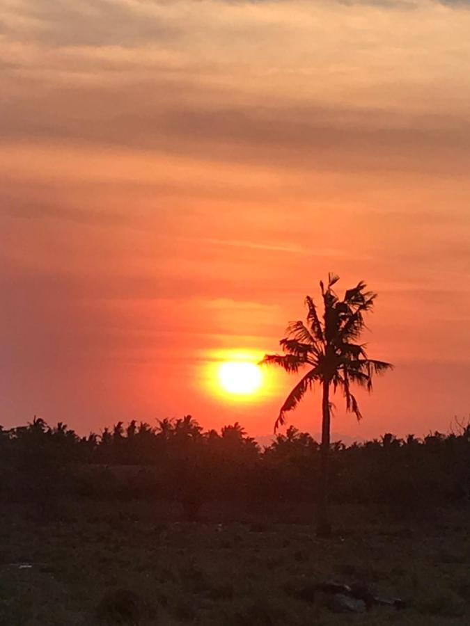Santai Bungalow غيلي تراوانغان المظهر الخارجي الصورة